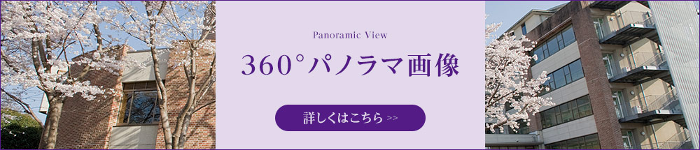 360°パノラマビュー