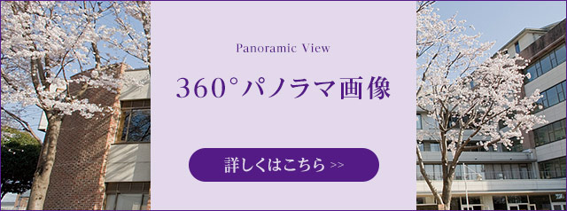 360°パノラマ画像