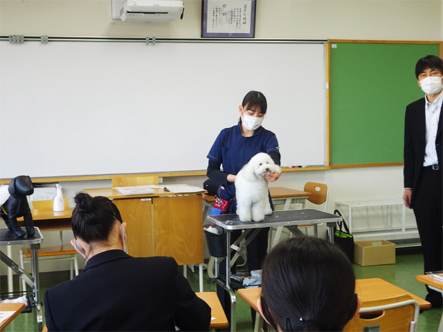 職業理解ガイダンス